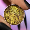CZTERNASTKA Metaliczny Pigment: Intensywny Złoty Blask dla Luksusowego Makijażu